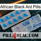 African Black Ant Pills new15